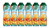 Teisseire - Pack de 6 sirops multifruits