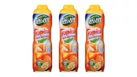Teisseire - Pack de 3 sirops tropical