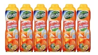Teisseire - Pack de 6 sirops tropical