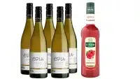  - Pack de 5 vins Ôpia blanc Bio sans alcool et un sirop hibiscus