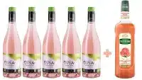  - Pack de 5 vins Ôpia rosé Bio sans alcool et un sirop de pamplemousse